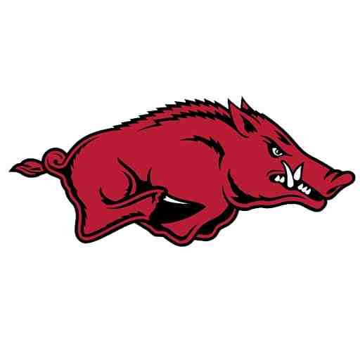 Arkansas Lady Razorbacks